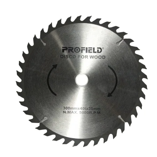 DISCO MAD 12"X300X30/25.4MM 40D PROFIELD
